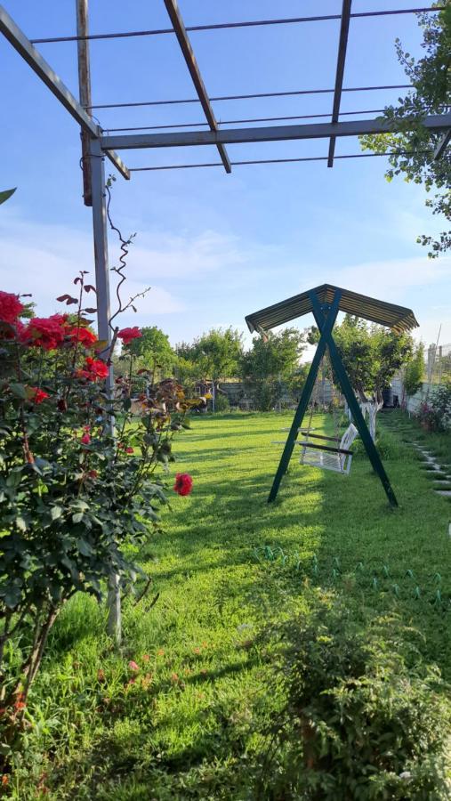 Room With Private Garden Shkodër Exteriör bild