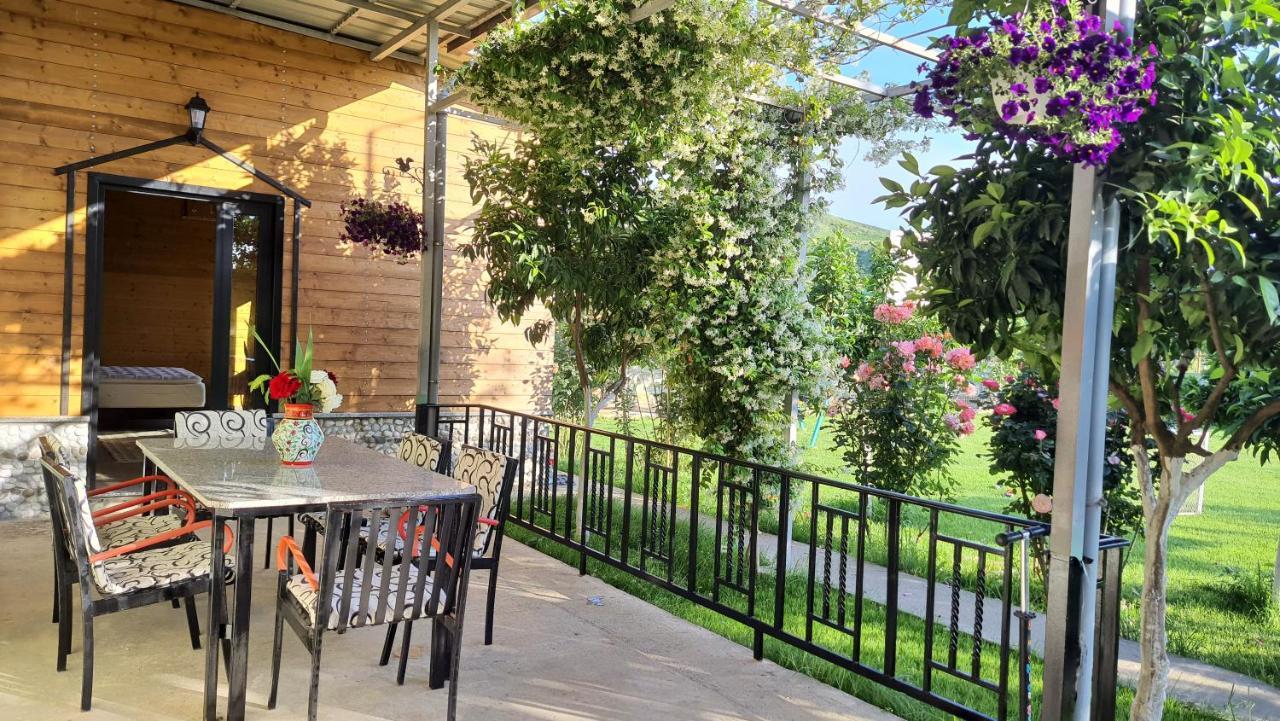 Room With Private Garden Shkodër Exteriör bild