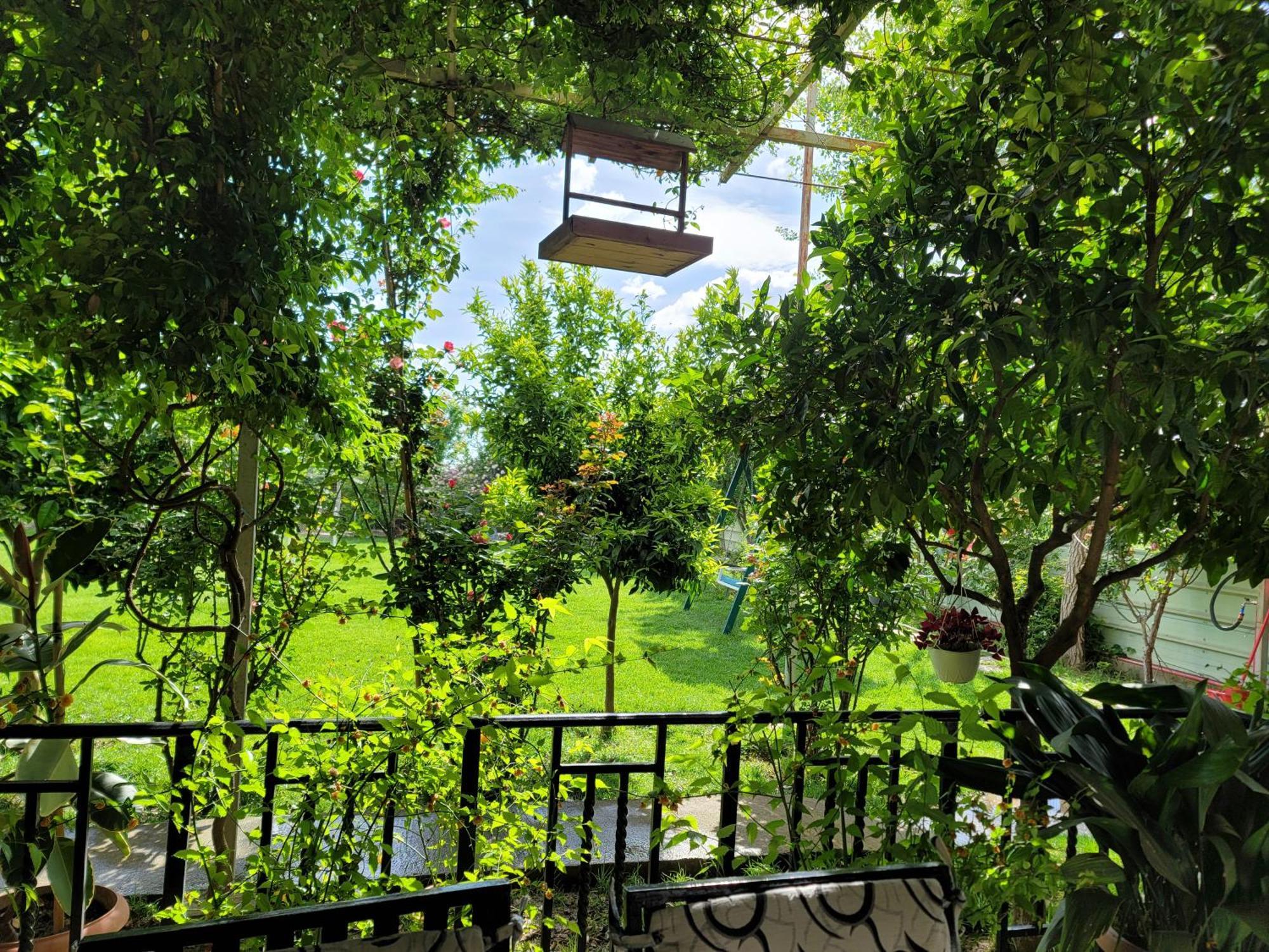 Room With Private Garden Shkodër Exteriör bild